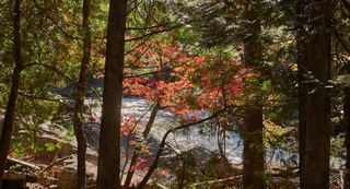 Mont-tremblant   <em>(Mevlana, Danse derviches tourneurs)</em>   |   15  /  27    |